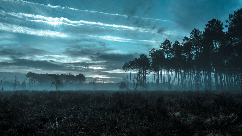 Le brouillard illustre les désagrément d'une procédure